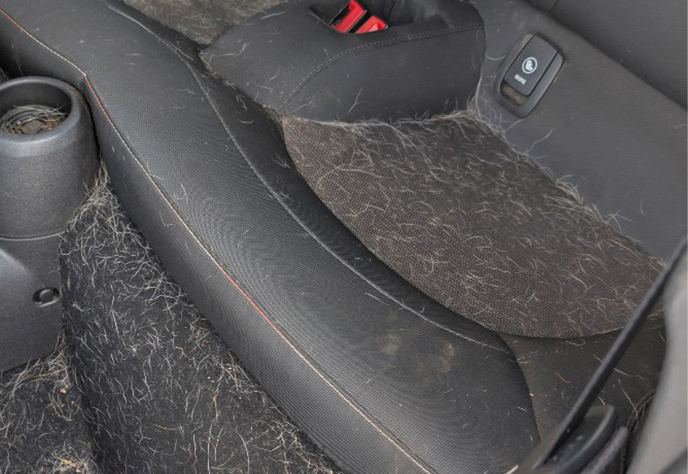 interior-before